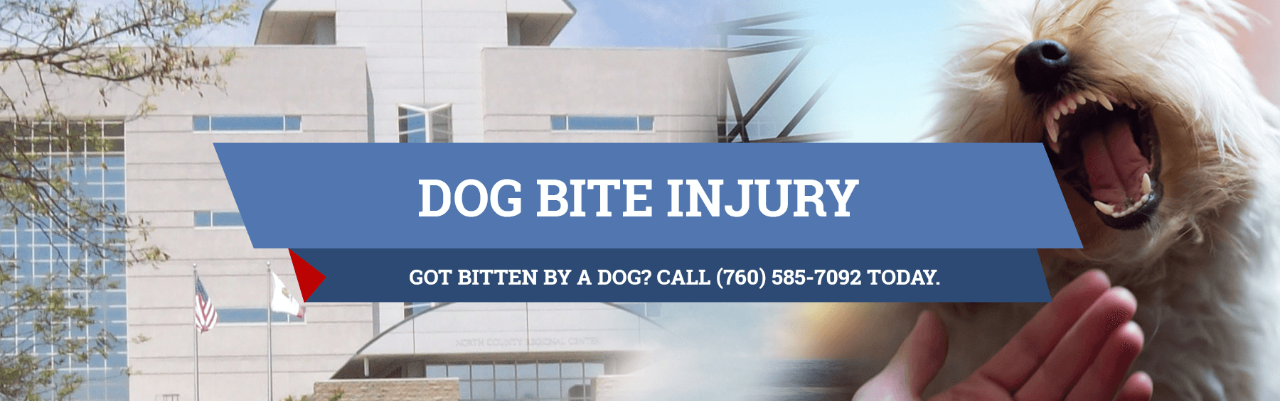 Dog Bite Law In California